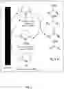Fig. 08 - Polycarboxylated compounds and compositions containing same