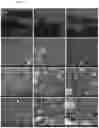 Fig. 12 - Plastic composition with spent filter media filler