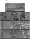Fig. 13 - Plastic composition with spent filter media filler