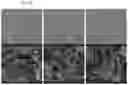 Fig. 15 - Plastic composition with spent filter media filler