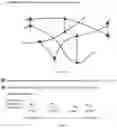 Fig. 09 - Process for regenerating a monolithic, macro-structural, inter-penetrating elastomer network morphology from ground tire rubber particles