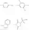Fig. 31 - Method for preparing Y-branched hydrophilic polymer carboxylic acid derivative
