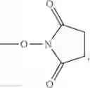 Fig. 50 - Method for preparing Y-branched hydrophilic polymer carboxylic acid derivative