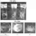 Fig. 03 - Film composition containing a tannic acid derivative and process for producing said film composition