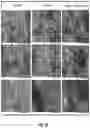 Fig. 19 - Asphalt additive compositions and methods of making and using thereof