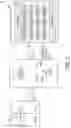 Fig. 03 - Adhesive with substrate compatibilizing particles