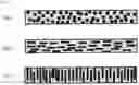 Fig. 02 - THERMAL INTERFACE MATERIAL, METHOD FOR THERMALLY COUPLING WITH THERMAL INTERFACE MATERIAL, AND METHOD FOR PREPARING THERMAL INTERFACE MATERIAL