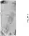 Fig. 15 - Material Metric Measurement