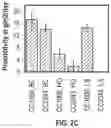 Fig. 05 - EFFICIENT METHOD FOR SELECTION OF HIGH-PERFORMING ALGAE ISOLATES AND IDENTIFICATION OF TRAIT GENES