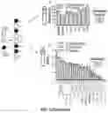 Fig. 22 - EFFICIENT METHOD FOR SELECTION OF HIGH-PERFORMING ALGAE ISOLATES AND IDENTIFICATION OF TRAIT GENES