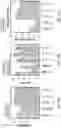 Fig. 27 - EFFICIENT METHOD FOR SELECTION OF HIGH-PERFORMING ALGAE ISOLATES AND IDENTIFICATION OF TRAIT GENES