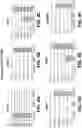 Fig. 06 - CHEMICAL DIFFERENTIATION OF PLURIPOTENT STEM CELLS INTO RETINAL EPITHELIAL CELLS