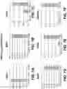 Fig. 09 - CHEMICAL DIFFERENTIATION OF PLURIPOTENT STEM CELLS INTO RETINAL EPITHELIAL CELLS
