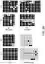 Fig. 13 - STEM CELL-DERIVED ASTROCYTES, METHODS OF MAKING AND METHODS OF USE