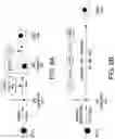Fig. 20 - STEM CELL-DERIVED ASTROCYTES, METHODS OF MAKING AND METHODS OF USE