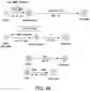 Fig. 22 - STEM CELL-DERIVED ASTROCYTES, METHODS OF MAKING AND METHODS OF USE