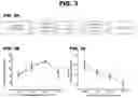 Fig. 04 - CARDIAC TISSUE MODELS AND METHODS OF USE THEREOF
