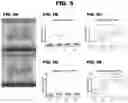 Fig. 06 - CARDIAC TISSUE MODELS AND METHODS OF USE THEREOF