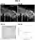 Fig. 07 - CARDIAC TISSUE MODELS AND METHODS OF USE THEREOF