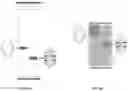 Fig. 07 - Methods and compositions for vault nanoparticle immobilization of therapeutic molecules and for vault targeting