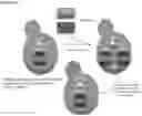 Fig. 06 - Compositions and methods for controlling microbial growth