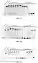 Fig. 03 - DNA polymerases from the red sea brine pool