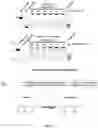 Fig. 10 - DNA polymerases from the red sea brine pool