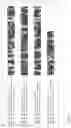 Fig. 02 - Polypeptides having DNase activity