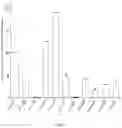 Fig. 05 - Carrier for targeting nerve cells