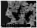 Fig. 01 - Highly active silica magnetic nanoparticles for purifying biomaterial and preparation method thereof