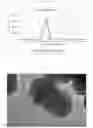 Fig. 04 - Highly active silica magnetic nanoparticles for purifying biomaterial and preparation method thereof