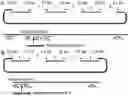 Fig. 01 - Methods for producing hybrid polyketide synthase genes and polyketides