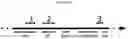 Fig. 13 - Methods for producing hybrid polyketide synthase genes and polyketides