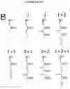 Fig. 19 - Methods for producing hybrid polyketide synthase genes and polyketides