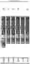 Fig. 31 - Methods for producing hybrid polyketide synthase genes and polyketides