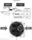 Fig. 74 - Methods for producing hybrid polyketide synthase genes and polyketides