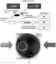 Fig. 76 - Methods for producing hybrid polyketide synthase genes and polyketides