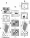 Fig. 02 - Methods and systems for droplet-based single cell barcoding