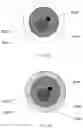 Fig. 32 - Methods and systems for droplet-based single cell barcoding