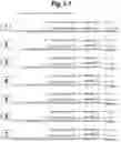 Fig. 04 - METHODS AND COMPOSITIONS FOR ENHANCING THE EFFICACY AND SPECIFICITY OF SINGLE AND DOUBLE BLUNT-ENDED siRNA