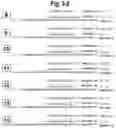 Fig. 05 - METHODS AND COMPOSITIONS FOR ENHANCING THE EFFICACY AND SPECIFICITY OF SINGLE AND DOUBLE BLUNT-ENDED siRNA