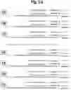 Fig. 06 - METHODS AND COMPOSITIONS FOR ENHANCING THE EFFICACY AND SPECIFICITY OF SINGLE AND DOUBLE BLUNT-ENDED siRNA