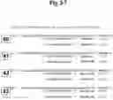 Fig. 10 - METHODS AND COMPOSITIONS FOR ENHANCING THE EFFICACY AND SPECIFICITY OF SINGLE AND DOUBLE BLUNT-ENDED siRNA