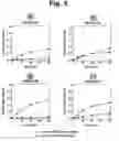Fig. 12 - METHODS AND COMPOSITIONS FOR ENHANCING THE EFFICACY AND SPECIFICITY OF SINGLE AND DOUBLE BLUNT-ENDED siRNA