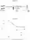 Fig. 03 - Exosomes and micro-ribonucleic acids for tissue regeneration