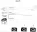 Fig. 13 - Exosomes and micro-ribonucleic acids for tissue regeneration