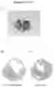 Fig. 31 - Exosomes and micro-ribonucleic acids for tissue regeneration