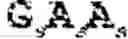 Fig. 07 - Oligomers and oligomer conjugates