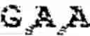 Fig. 131 - Oligomers and oligomer conjugates