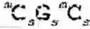 Fig. 158 - Oligomers and oligomer conjugates